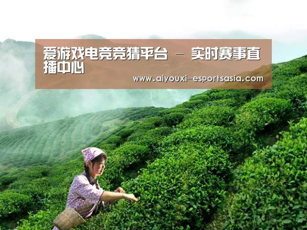 爱游戏电竞竞猜平台 - 实时赛事直播中心
