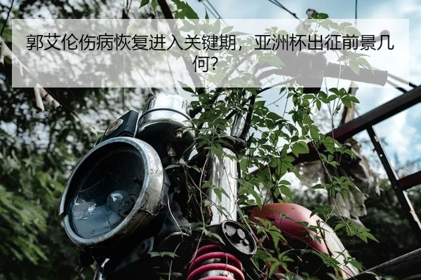 郭艾伦伤病恢复进入关键期，亚洲杯出征前景几何？
