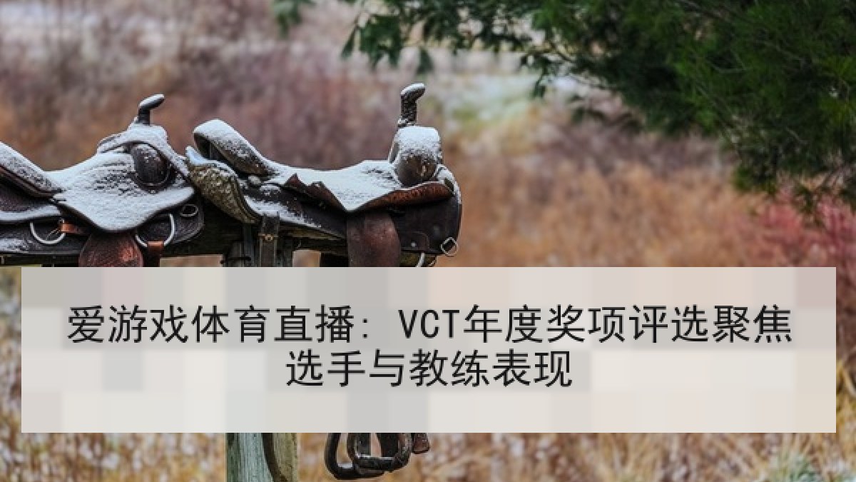 爱游戏体育直播: VCT年度奖项评选聚焦选手与教练表现