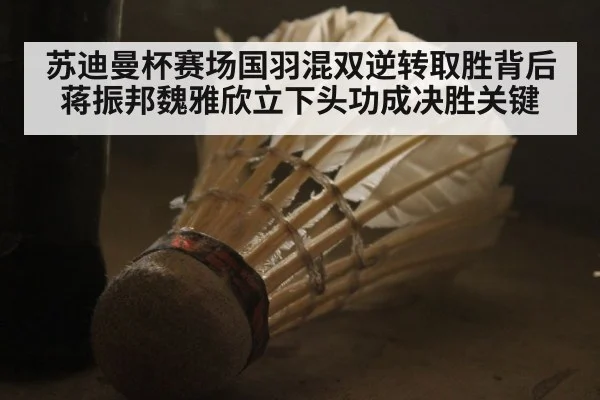 苏迪曼杯赛场国羽混双逆转取胜背后 蒋振邦魏雅欣立下头功成决胜关键