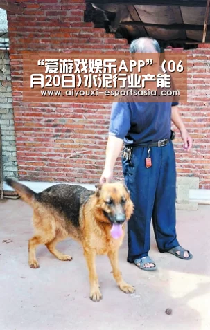 爱游戏电竞赛事直播